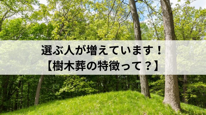 選ぶ人が増えています！【樹木葬の特徴って？】